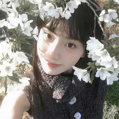 文明的崛起 第二季